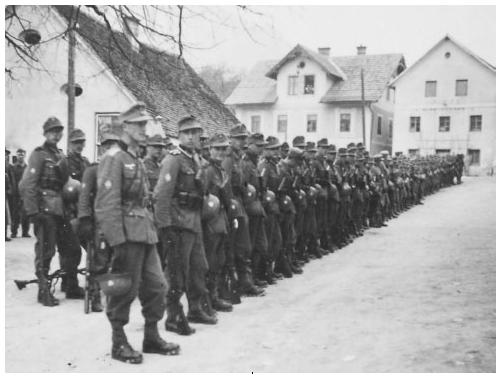 Hitler's Mountain Troops