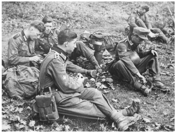 Hitler's Mountain Troops