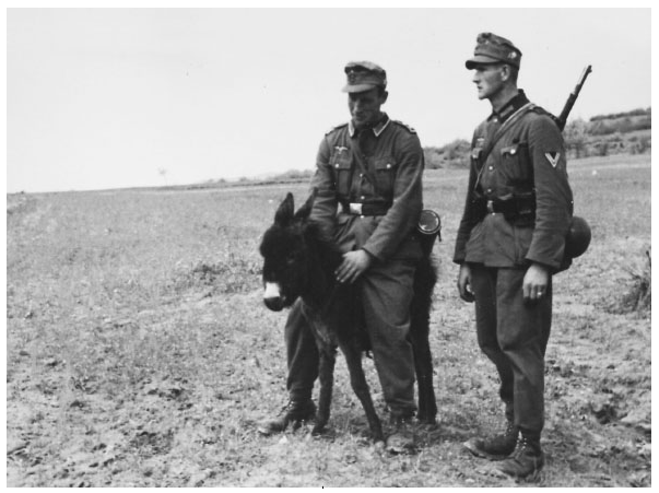 Hitler's Mountain Troops